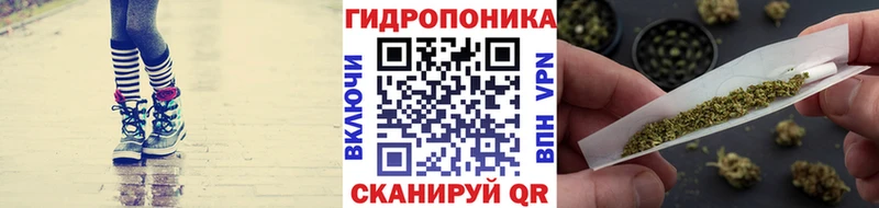 МЕТАДОН Макаров