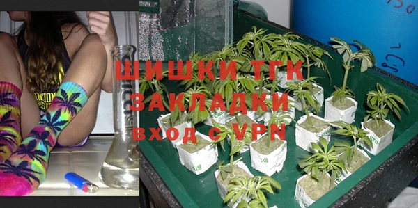 прущие грибы Кодинск
