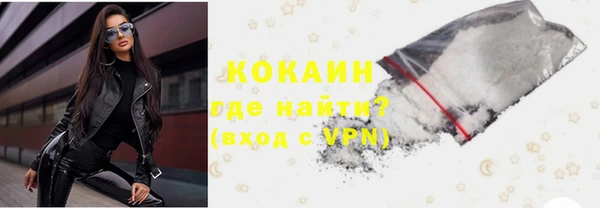 прущие грибы Костерёво