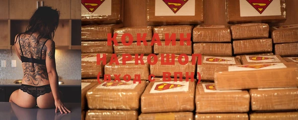 прущие грибы Кодинск