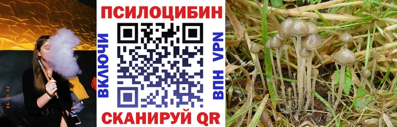 Галлюциногенные грибы Psilocybine cubensis Макаров