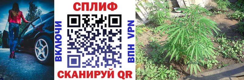 Бошки Шишки конопля Макаров